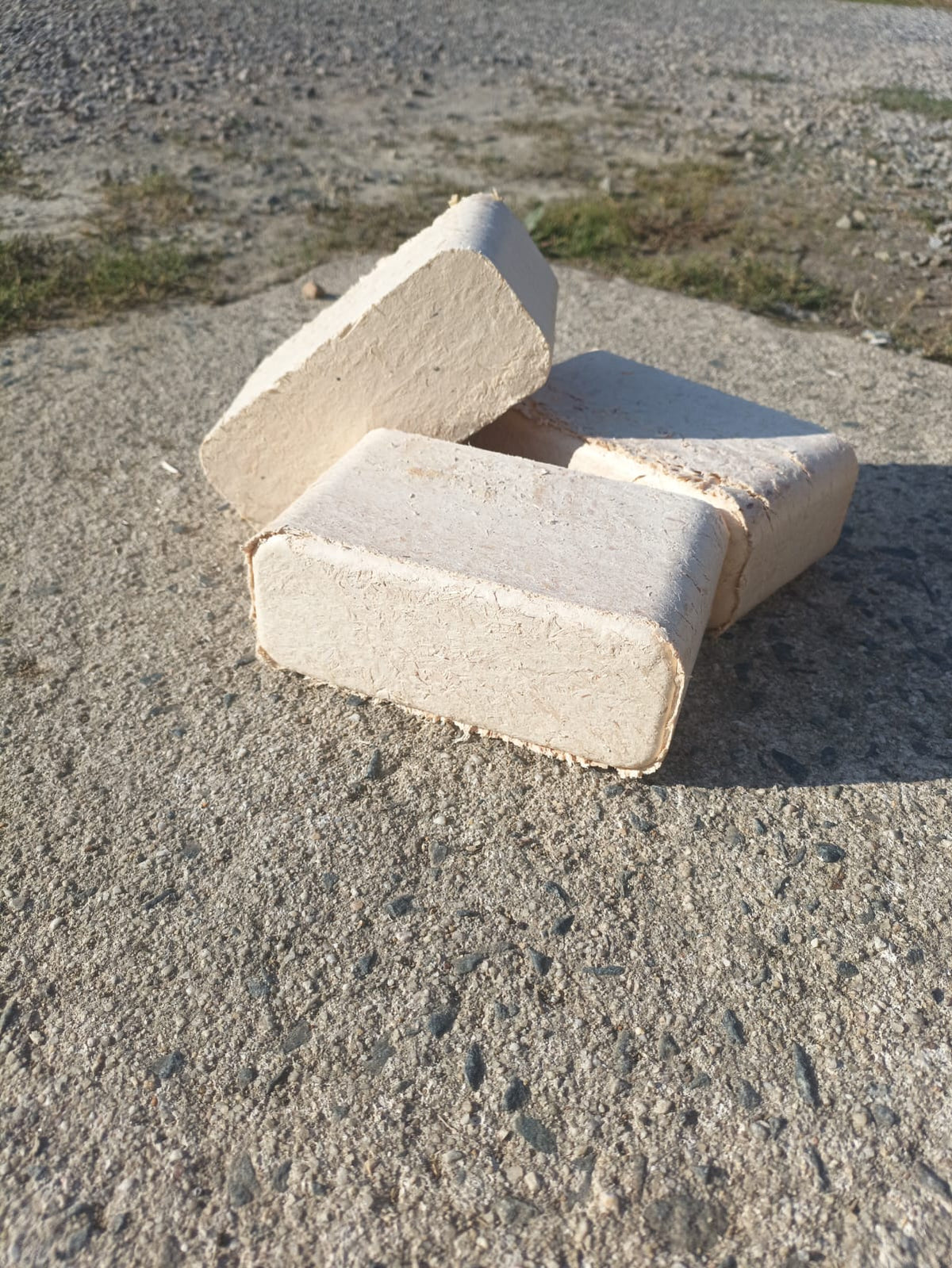 Substrat Hêtre en Pavé 1kg - Garanti Sans Traitement | Les Champignons du Pot'